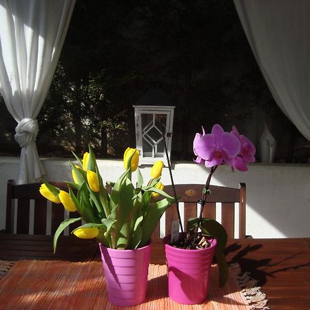 PUY Apartment Villa Holiday II מראה חיצוני תמונה