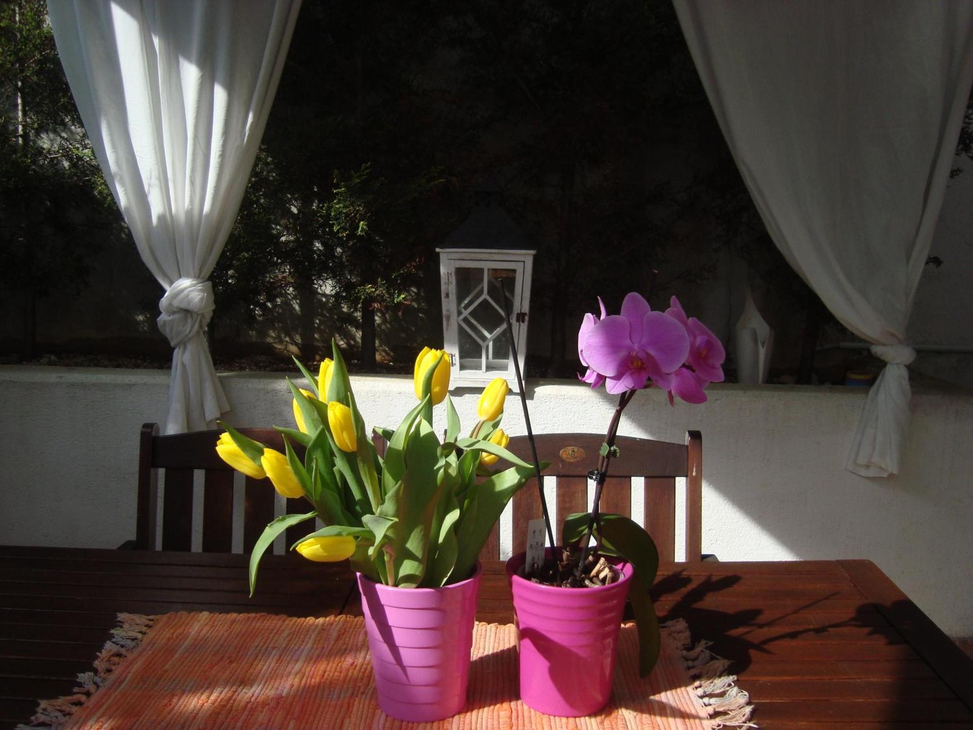 PUY Apartment Villa Holiday II מראה חיצוני תמונה